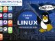 robotechnics LINUX linux robótica educativa programación Scratch robotcamp Arduino Raspberry Pi Linux Python PHP Web videojuegos electrónica inteligencia artificial campamento taller