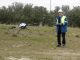 REE drones RPA robotechnics